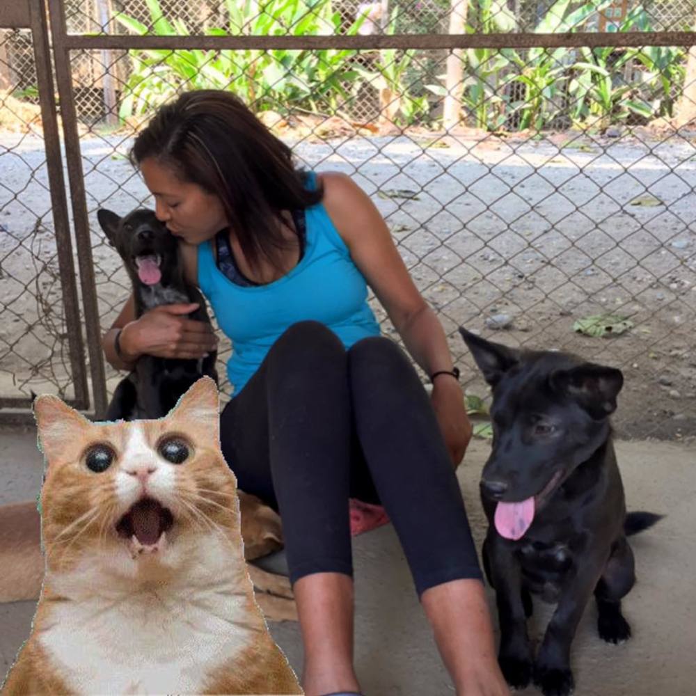 Meet your Posher, Elaine